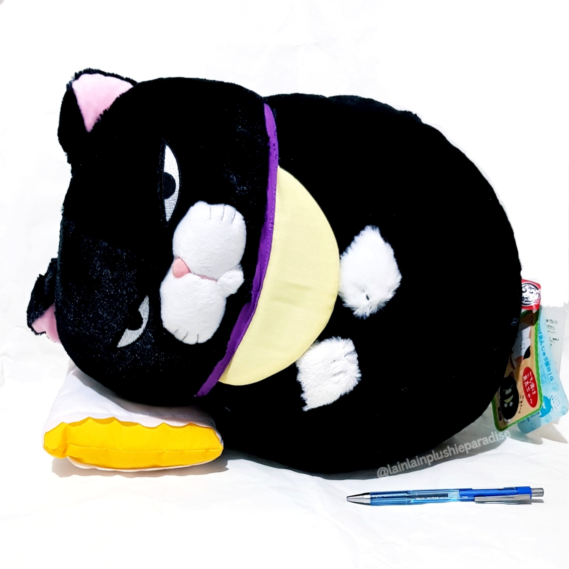 Kuromame cat store