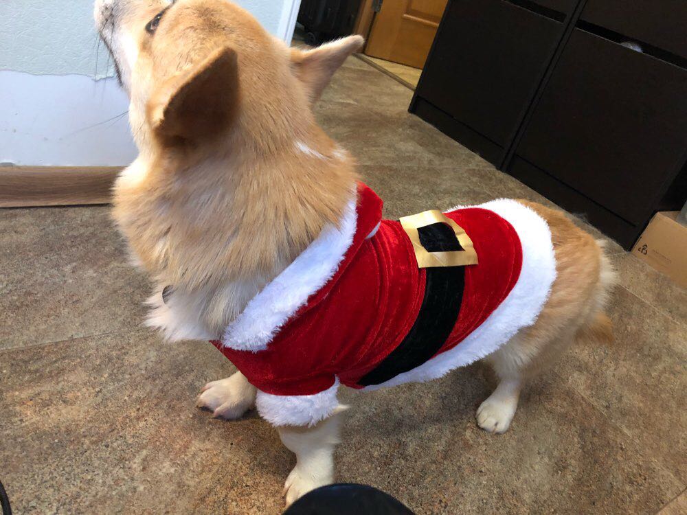 Baju Natal Anjing Dan Kucing Christmas Pet Supplies Accessories
