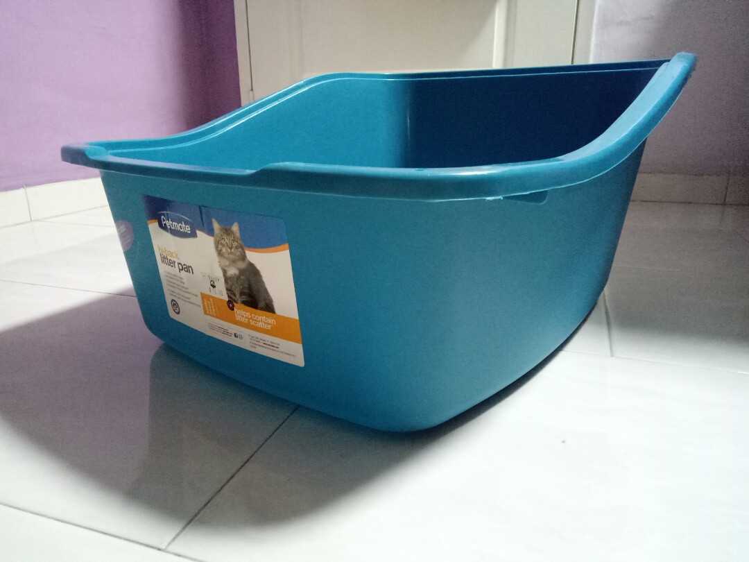 Petmate Hi back Cat Litter Pan Pet Supplies Homes Other Pet Accessories on Carousell