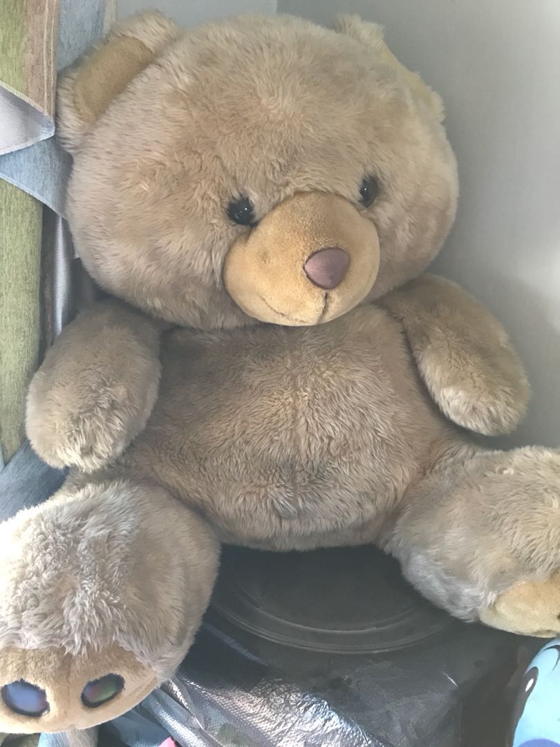 teddy bear besar