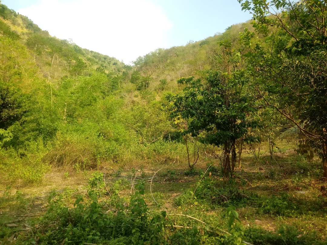 Farm lot or for sale tanay rizal, Property, For Sale on Carousell