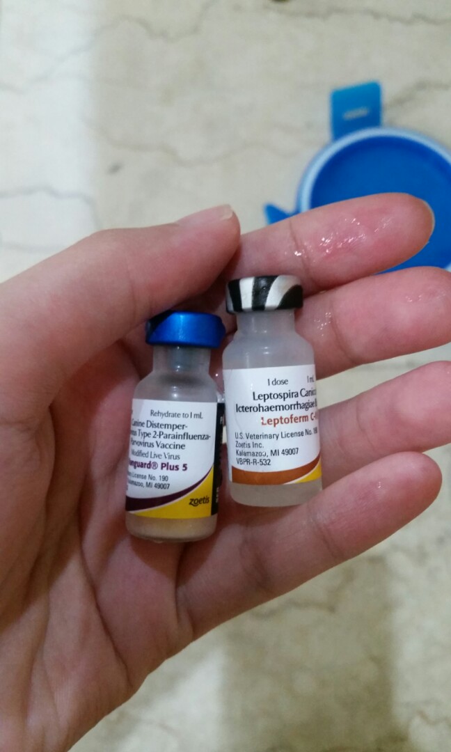 5n1 vaccine top for dogs