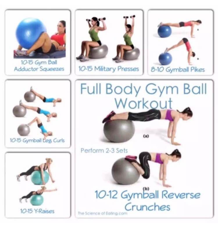 exercise ball full body workout