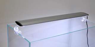 Profesional Z series lampu LED