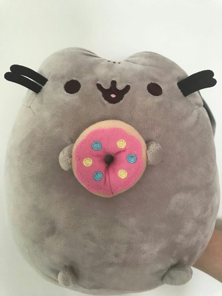 pusheen holding donut