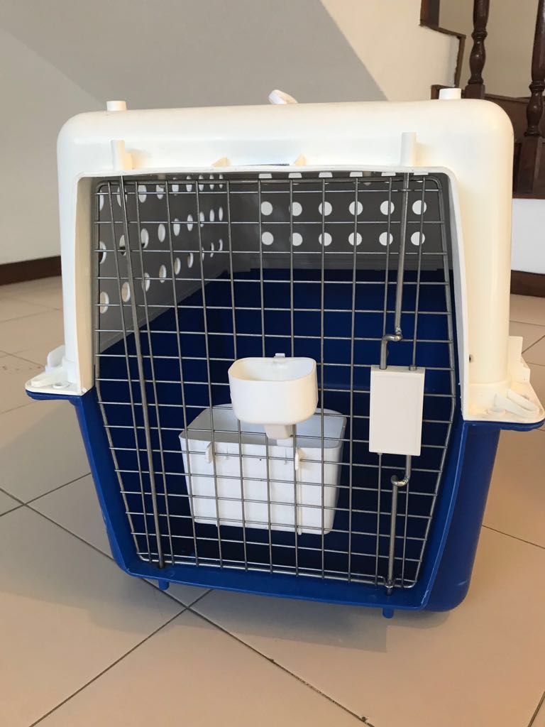 Pet carrier 2024 international