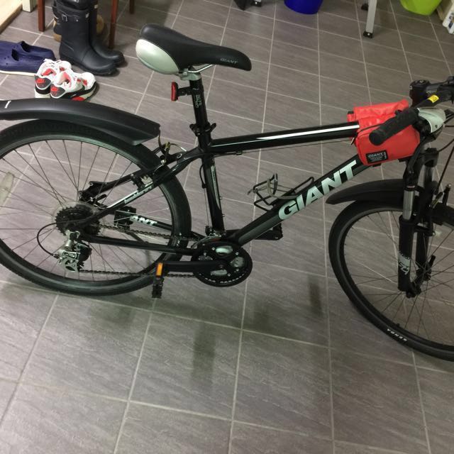 Giant boulder cheap 24