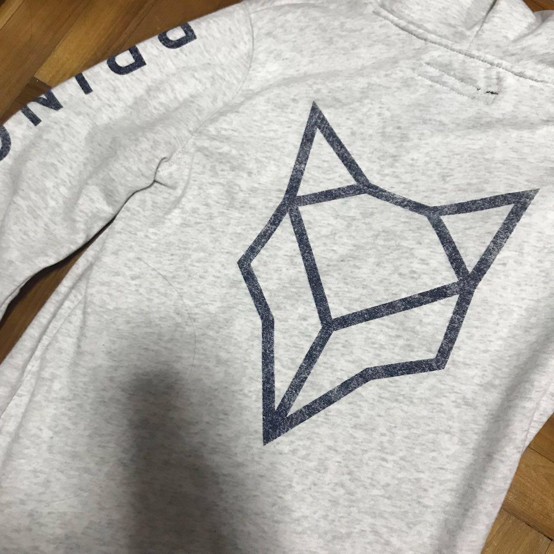 Authentic Prince Fox Aeropostale hoodie pullover Men s Fashion Tops Sets Hoodies on Carousell