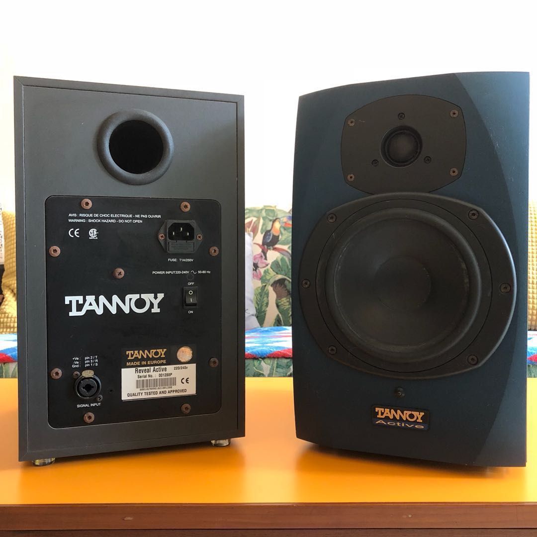 Tannoy reveal active 230v discount