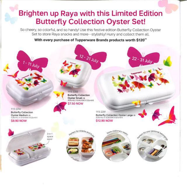 Tupperware Butterfly Tupperware Butterfly Oyster Case, Everything Else on Carousell