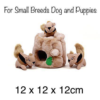 Hide a squirrel toy top