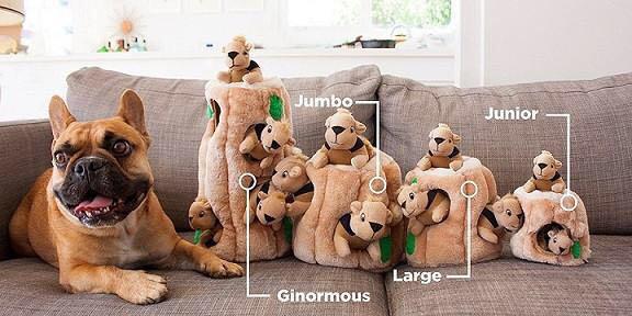 outward hound hide a squirrel puzzle dog toy
