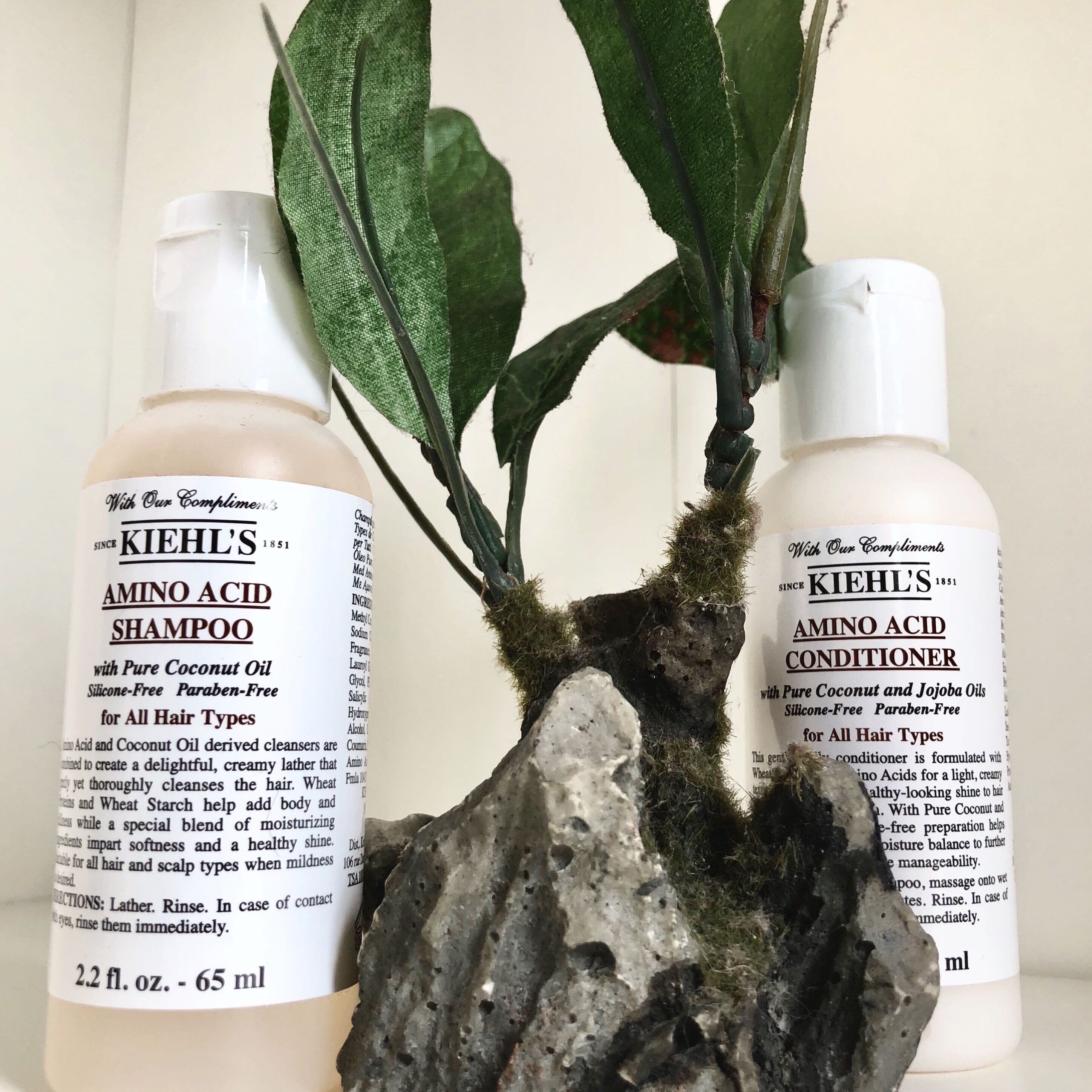 Kiehl’s Amino Acid [Shampoo & Conditioner Set], Beauty & Personal Care