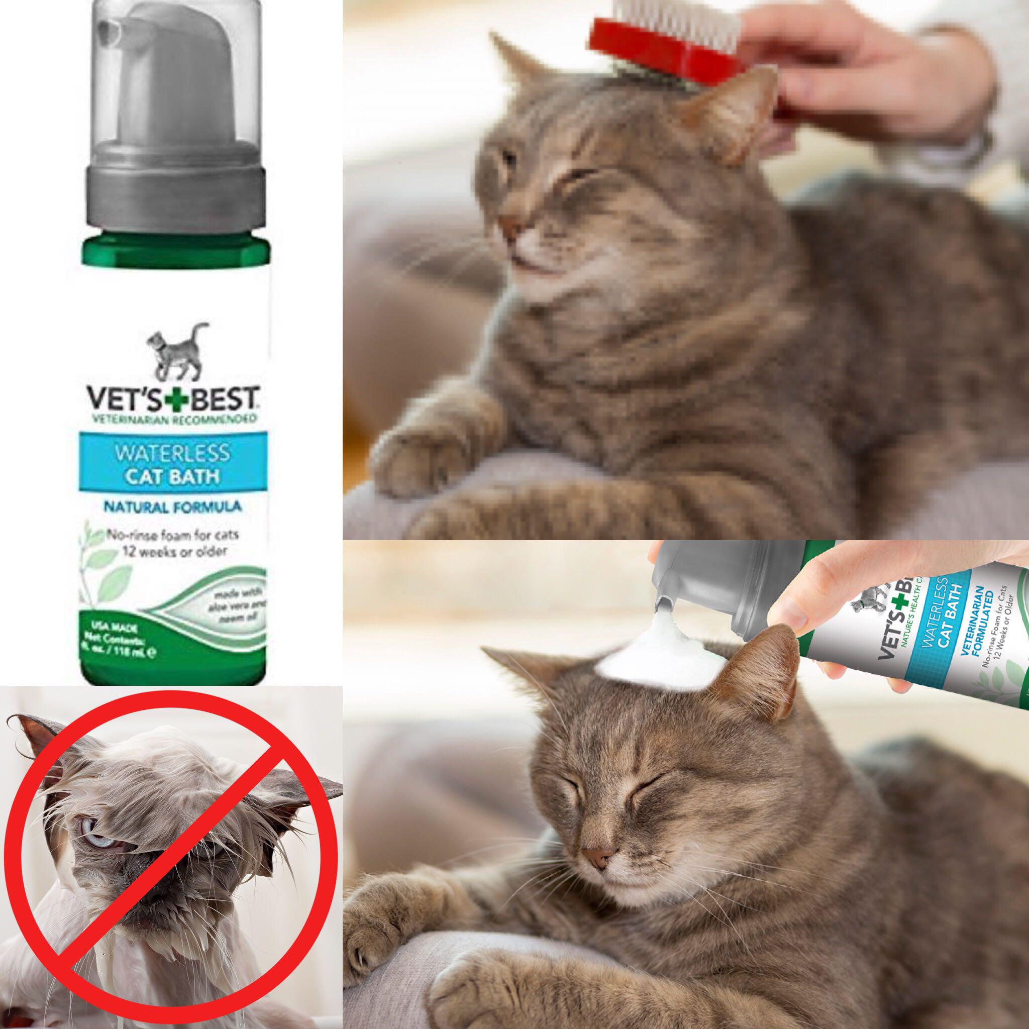 Best waterless cat shampoo discount