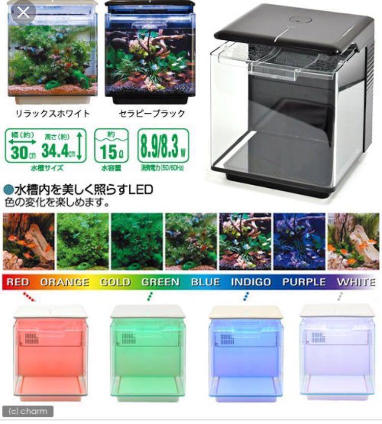 Gex Integrated 30cm Waterfall Aquarium Fish Tank With Led Mood Lights Pet Supplies Homes Other Pet Accessories On Carousell