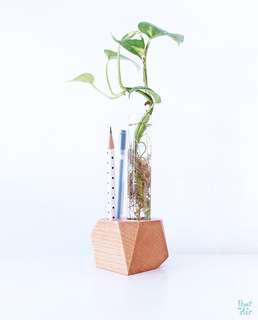 Water: Wood Stationery Holder with money plant
