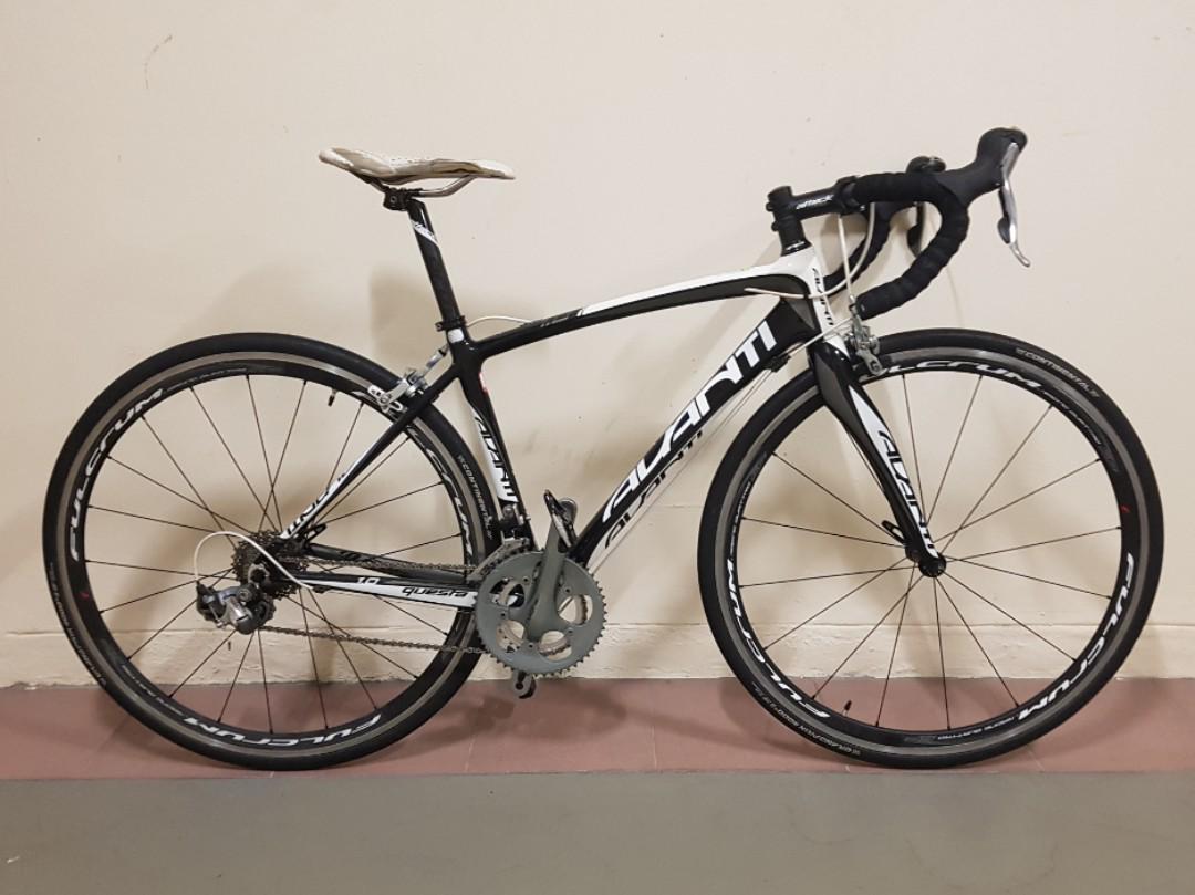 Avanti Questa 1.0 Road Bike, Sports Equipment, Bicycles & Parts