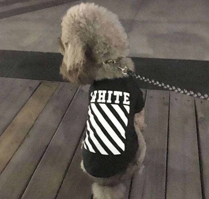Off white dog jacket discount
