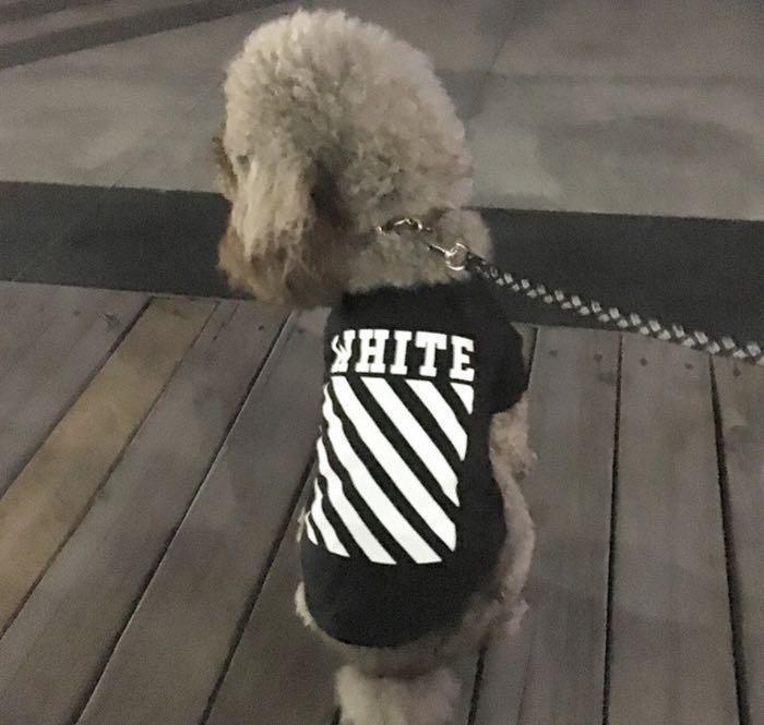 Off white dog shirt 2025