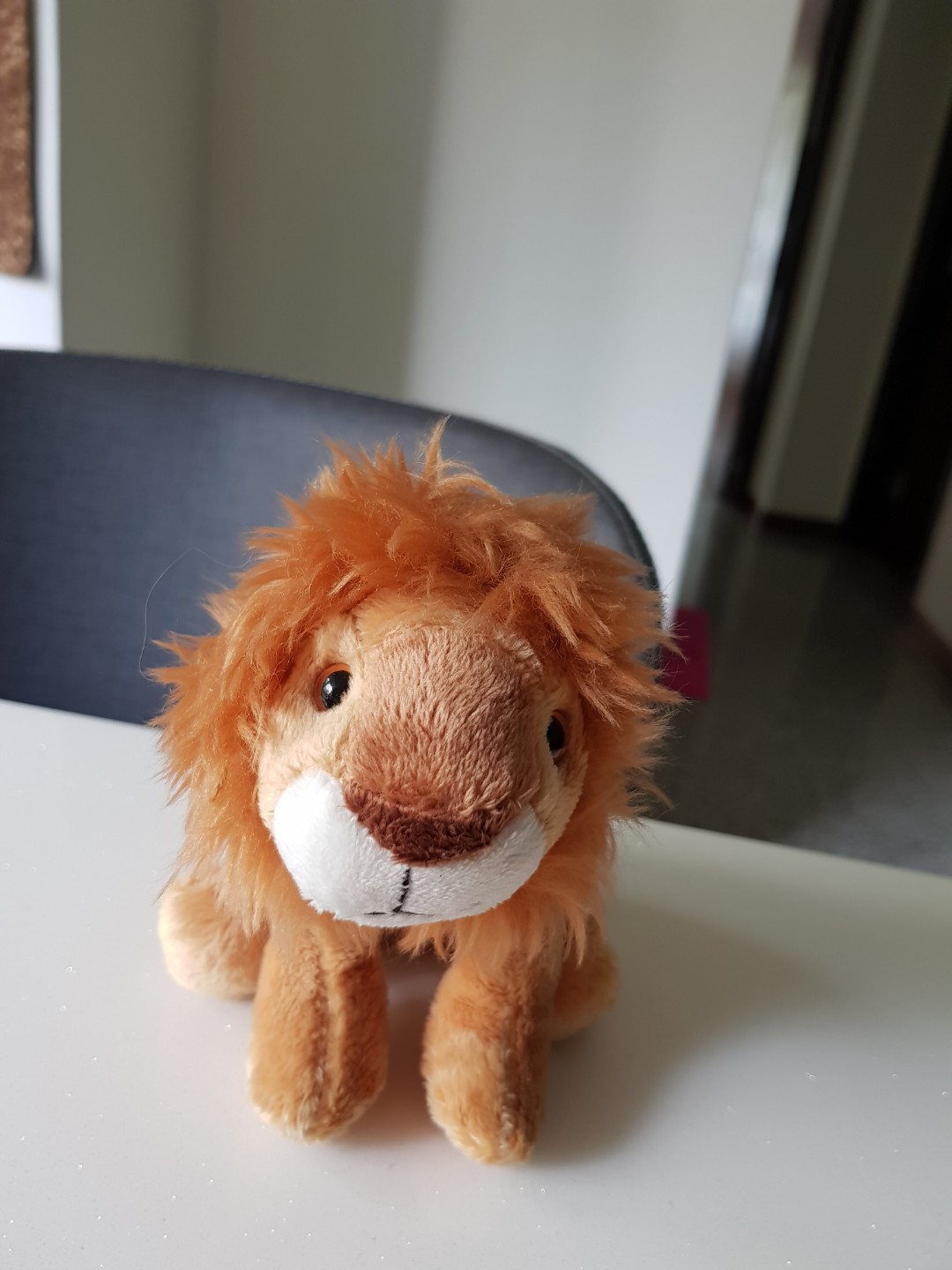 small lion teddy