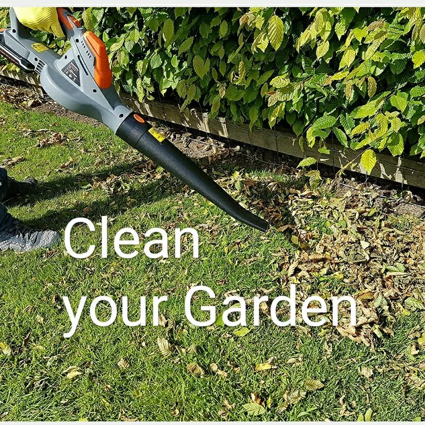 Terratek 18V Lithium ion Cordless Leaf Blower Pro Handheld Garden