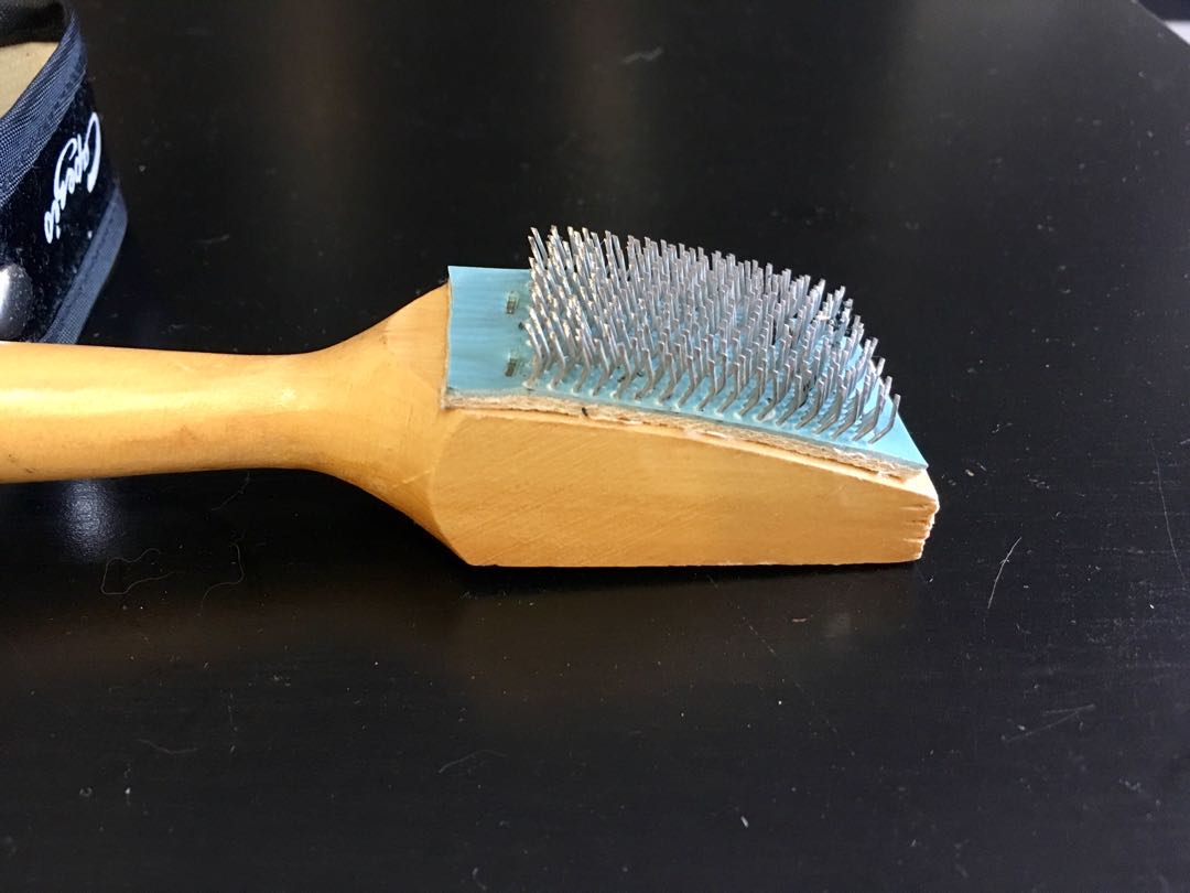 Dance shoe brush, Sports Equipment, Exercise & Fitness, Toning
