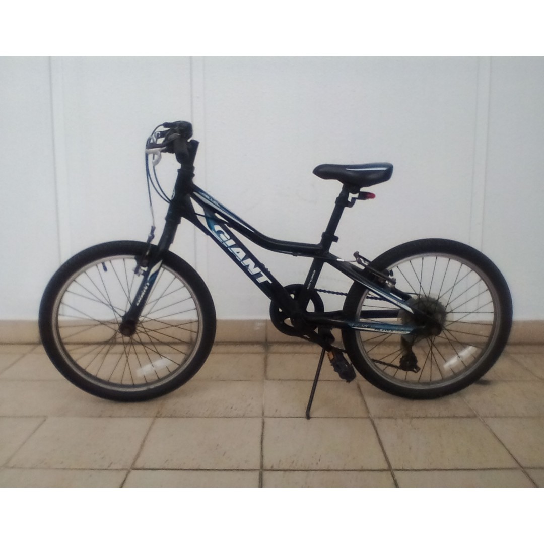 GIANT Revel JR Bike Sports Equipment Bicycles Parts Bicycles on Carousell