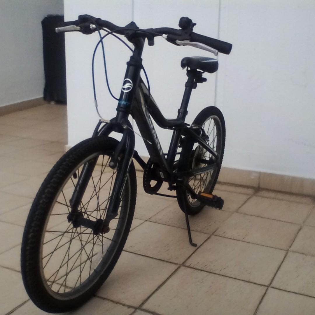 GIANT Revel JR Bike Sports Equipment Bicycles Parts Bicycles on Carousell