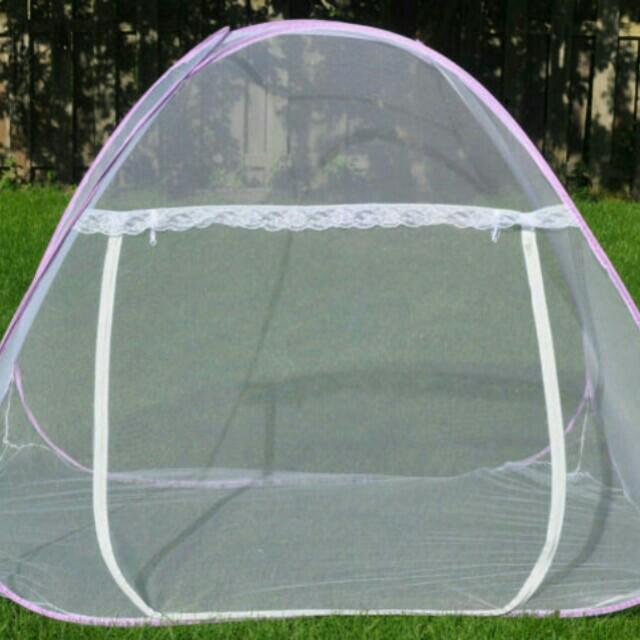 bonding with your sugar glider