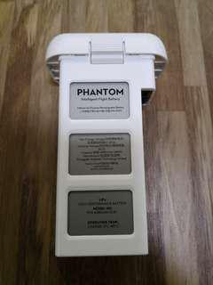 Phantom 3 Professional Remote Controller & Batteries