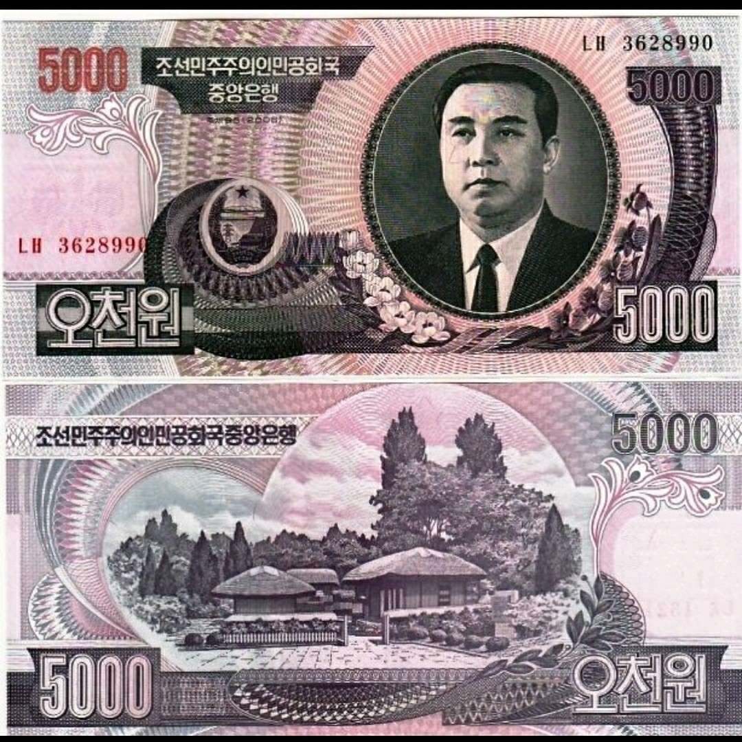 2006年北韓朝鮮5000元金日成版紙幣全新直版, 興趣及遊戲, 收藏品及