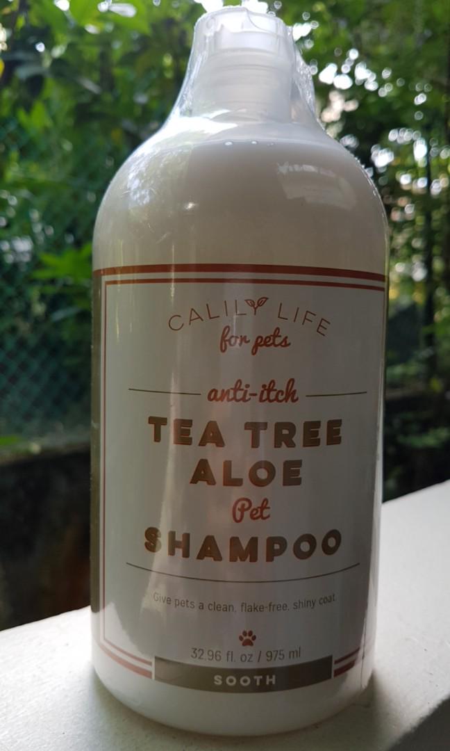 aloe vera tea tree moisturizer