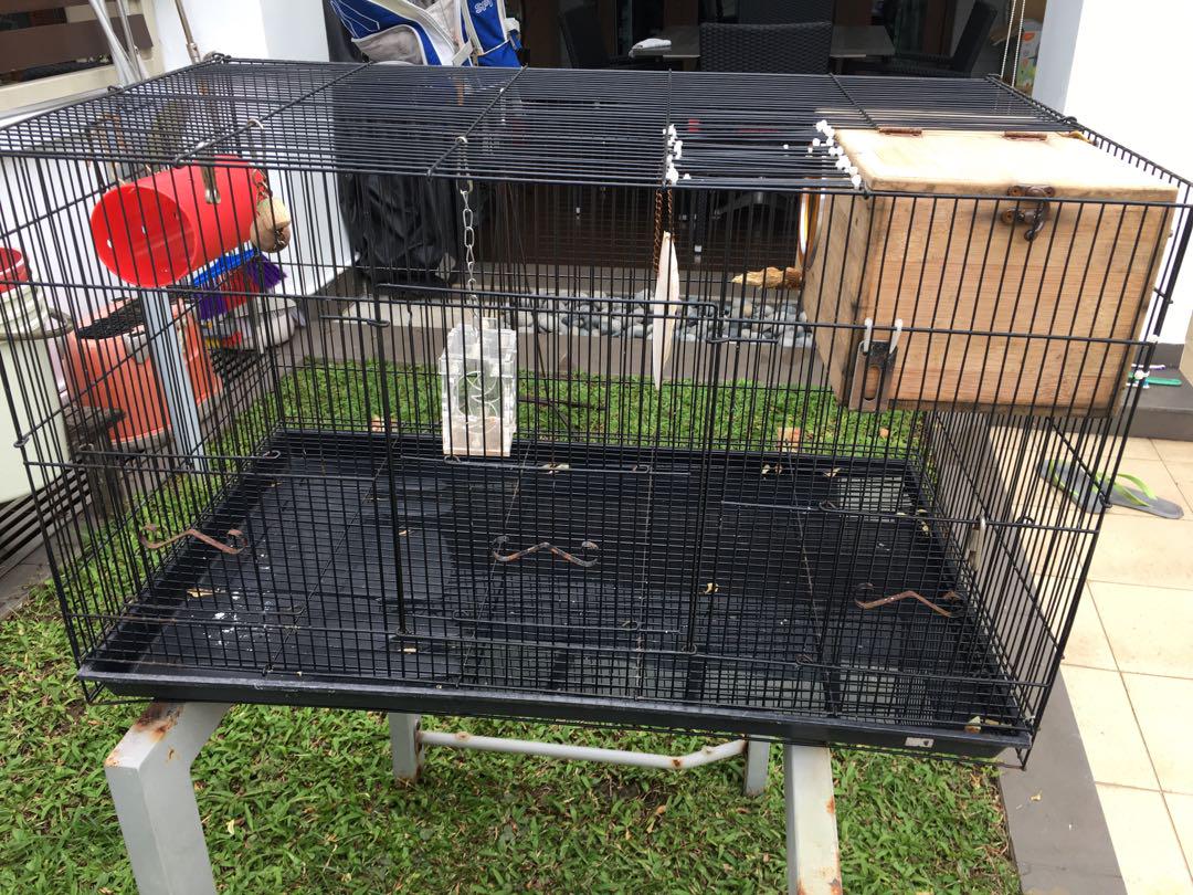 Bird cage with breeding box online