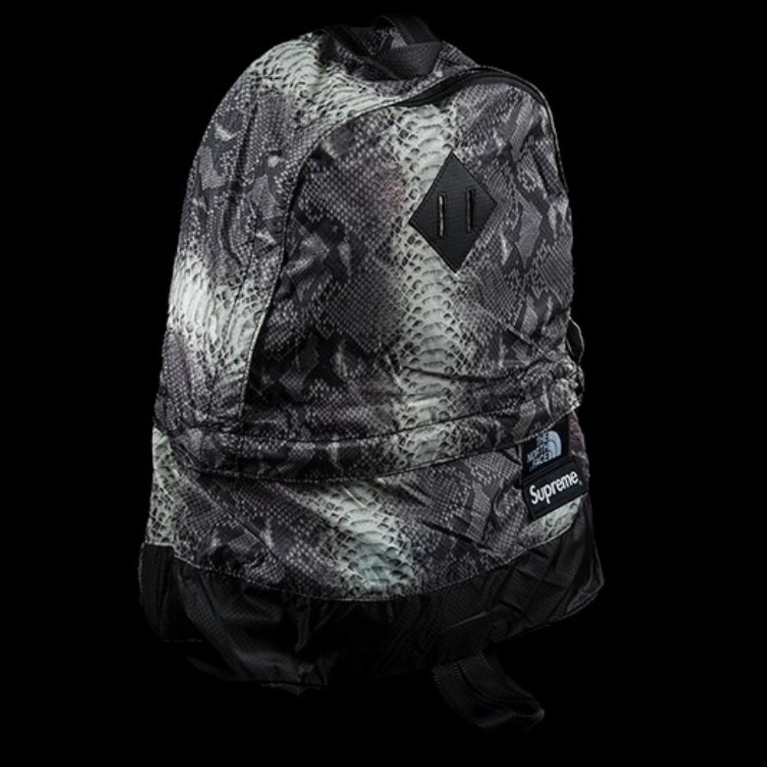 North face sale snakeskin backpack