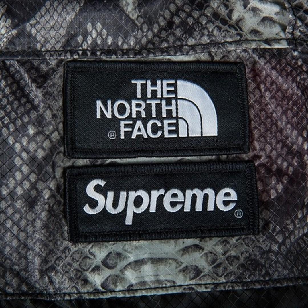 Supreme the north face sales snakeskin lightweight day pack black