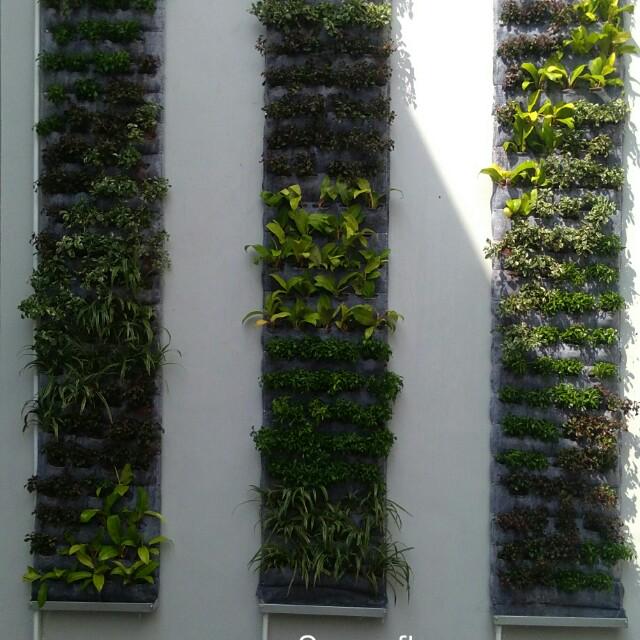 Tukang Taman Vertical Garden Gardening On Carousell