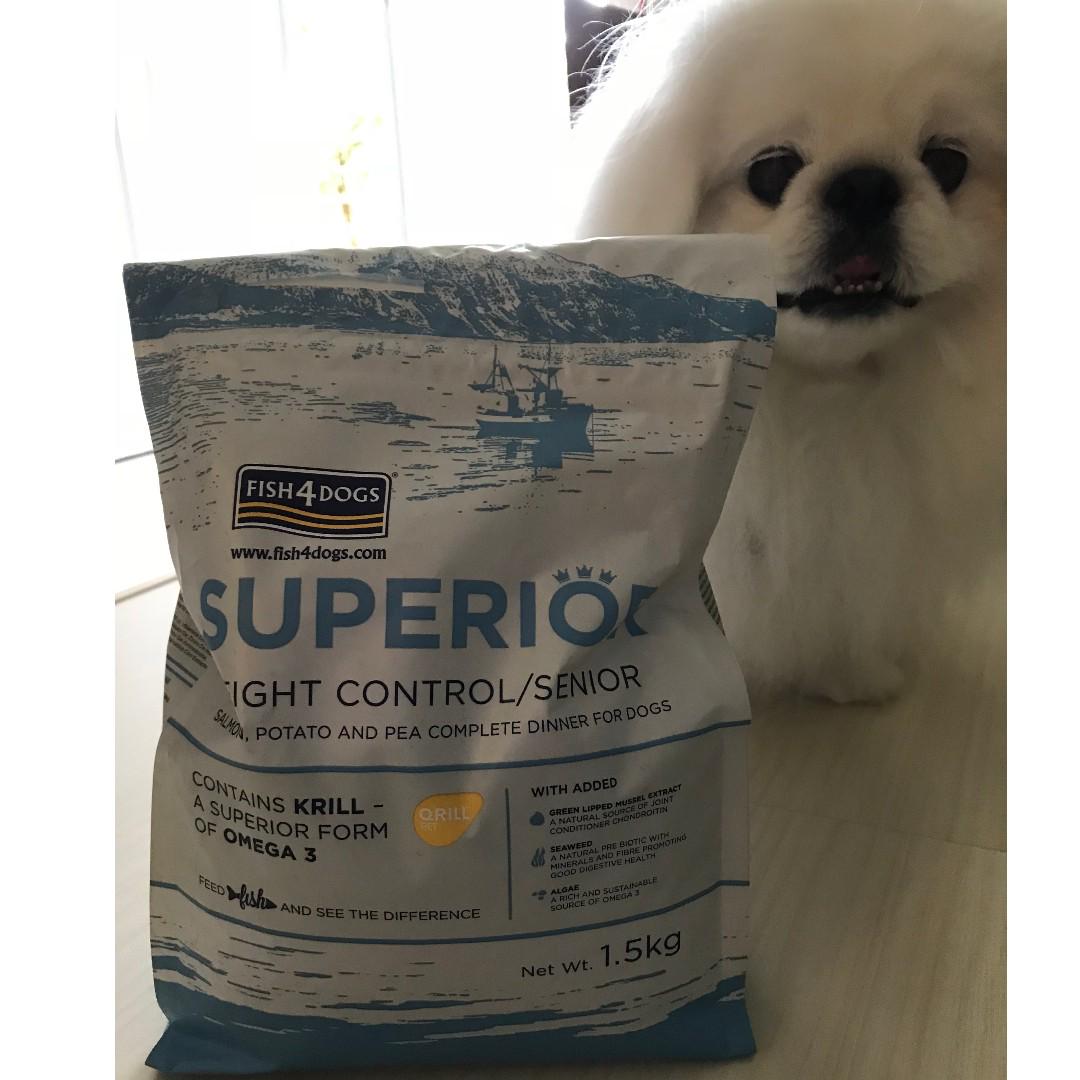 Fish for dogs senior discount