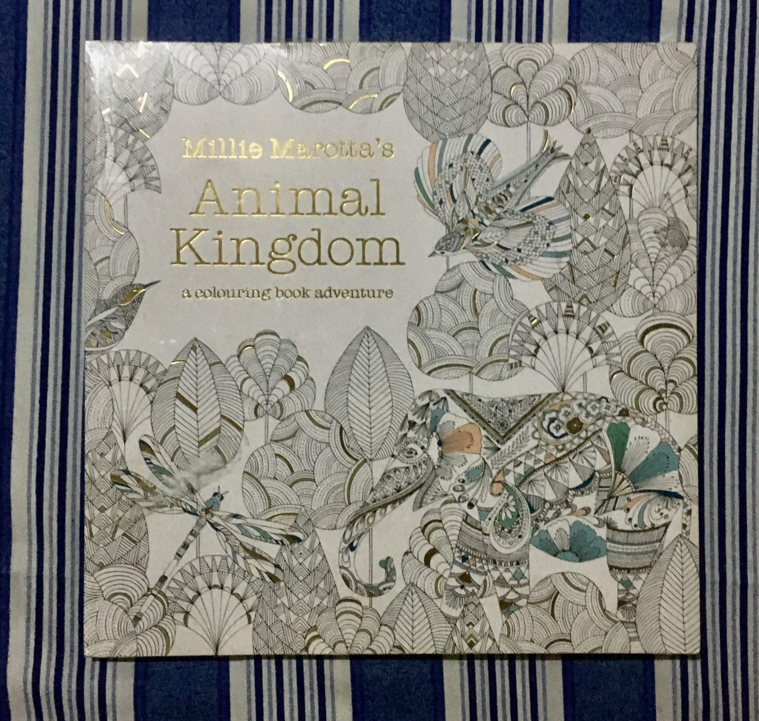Millie Marotta S Animal Kingdom Coloring Book Hobbies Toys Stationary Craft Craft Supplies Tools On Carousell Animal kingdom by millie marotta colouring book. millie marotta s animal kingdom coloring book
