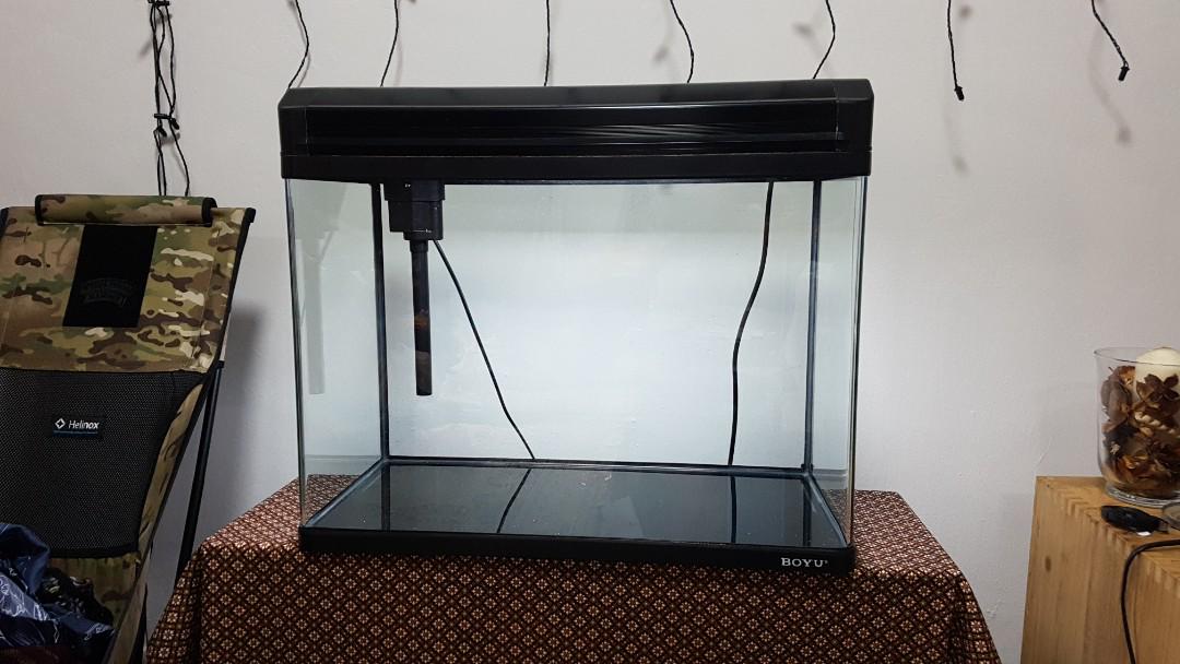 2ft Fish Tank Pet Supplies For Fish Fish Tanks On Carousell