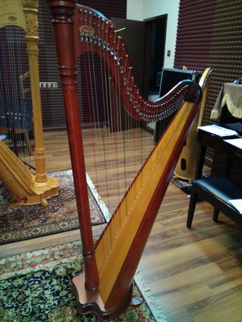 Salvi deals ana harp