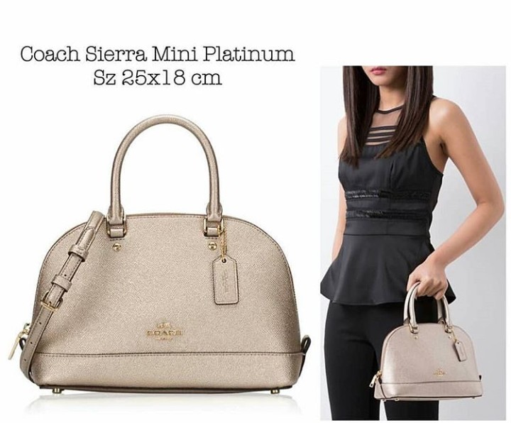 Coach mini sierra platinum outlet