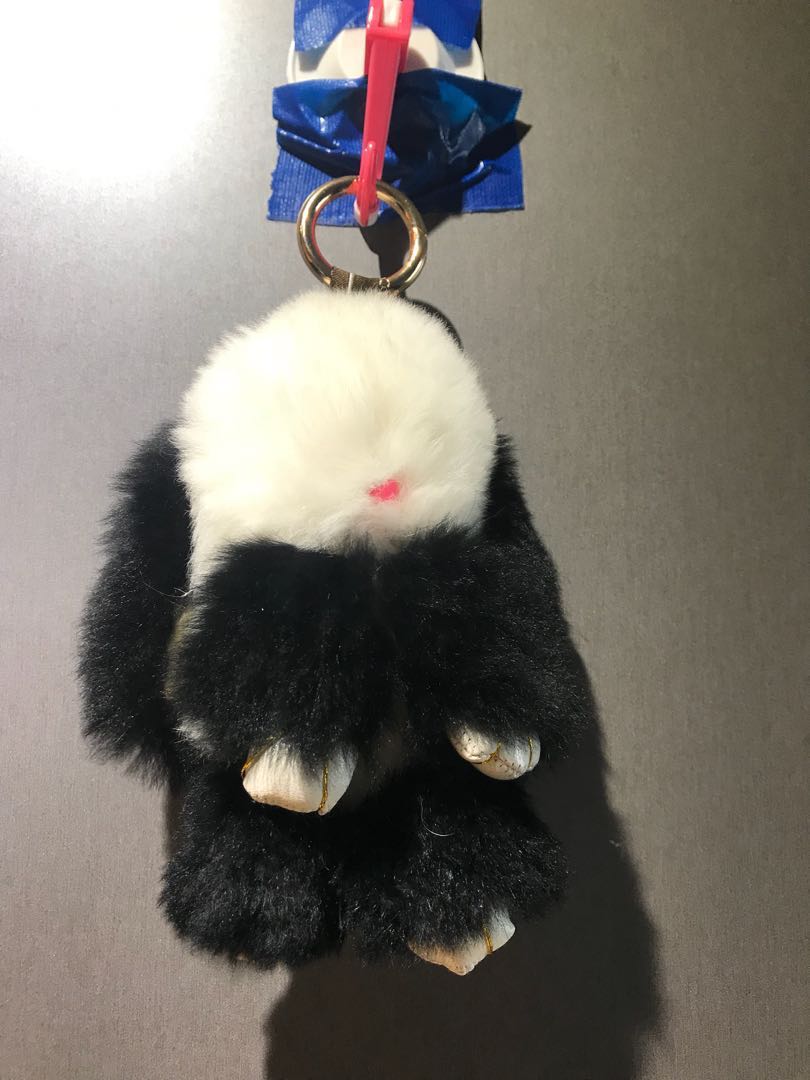 Cute fluffy bunny, Hobbies & Toys, Toys & Games on Carousell