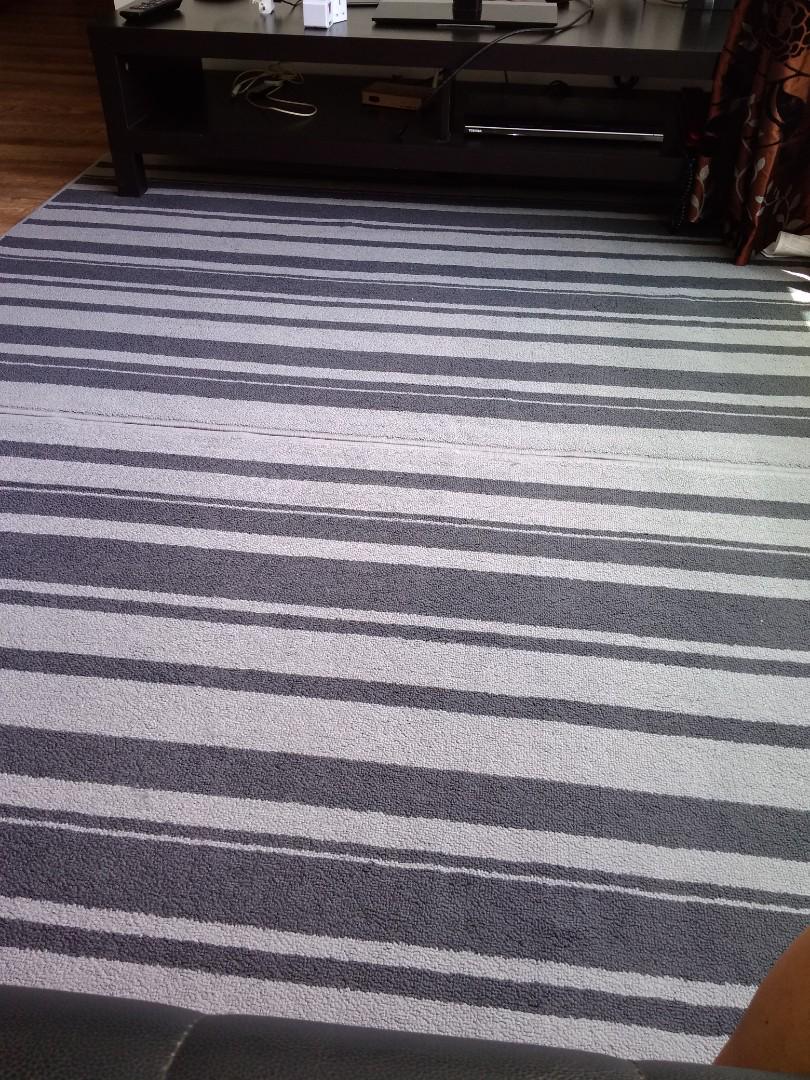 Ikea Ibsted Carpet Everything Else On Carousell