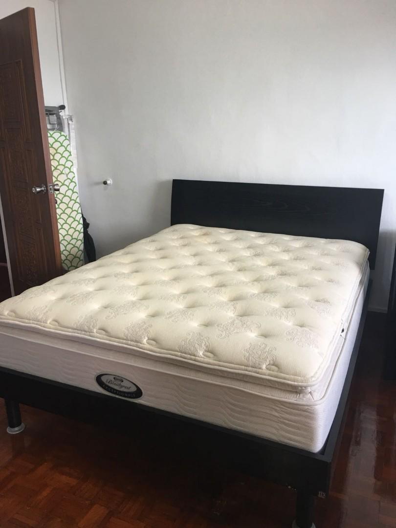 Beautyrest exceptionale new arrivals