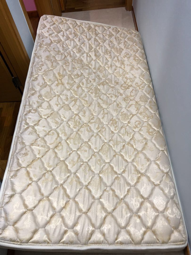 Seahorse Bed Review