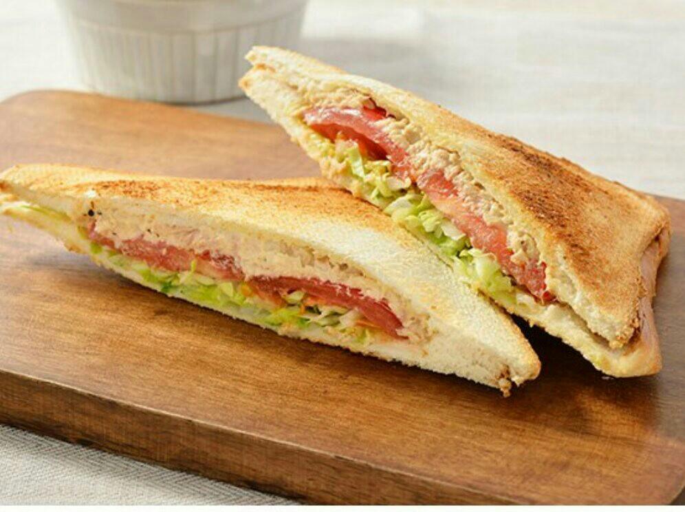 stovetop panini & sandwich maker
