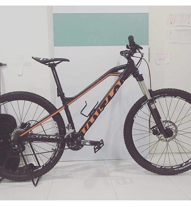 mondraker hardtail