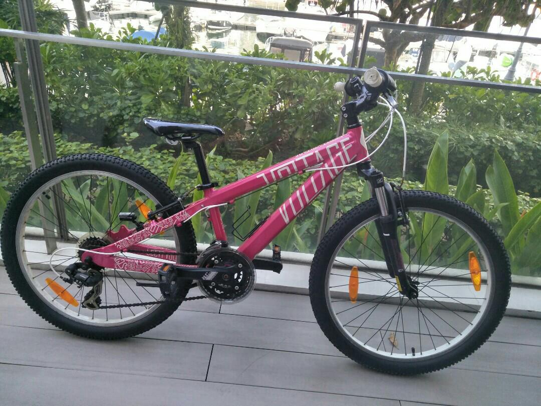 scott voltage 24 inch