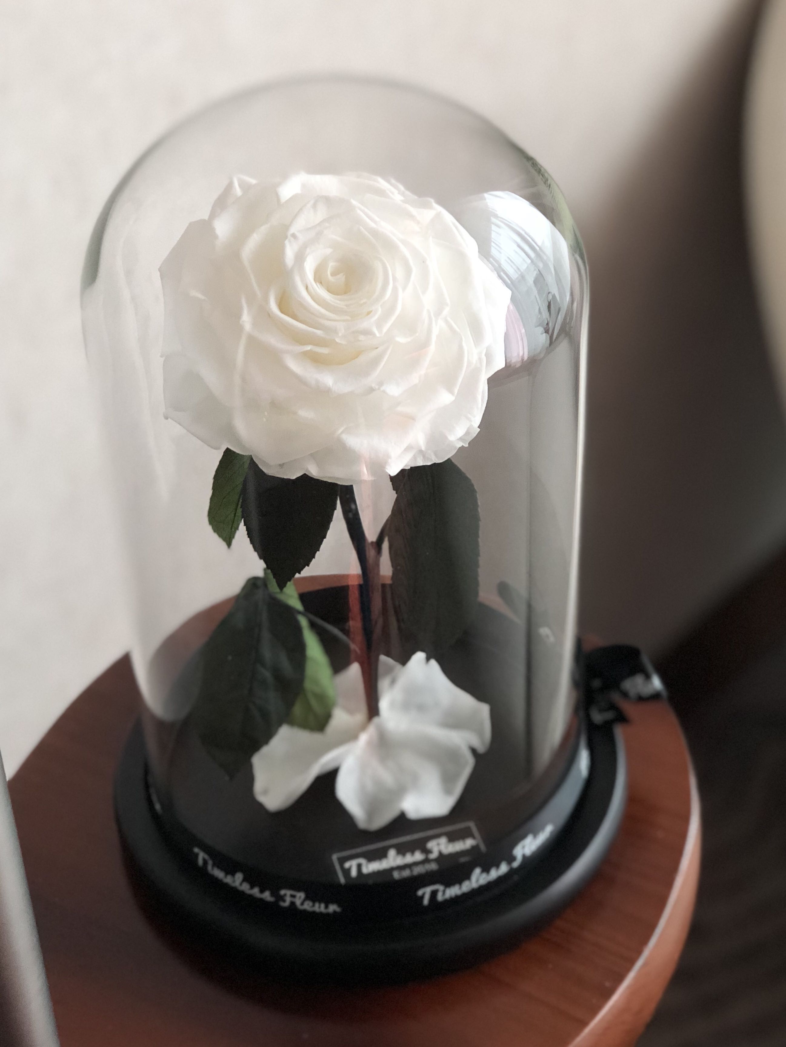Valentine Day Beauty The Beast Inspired Rose Dome Gardening Flowers Bouquets On Carousell