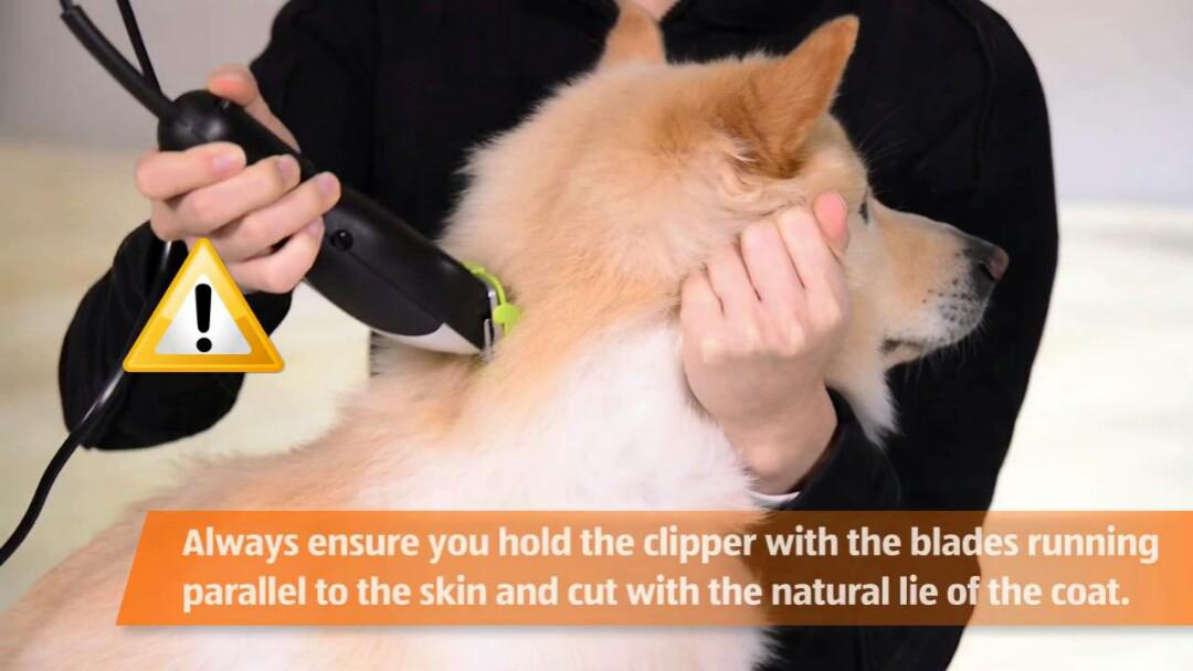 visage dog grooming kit